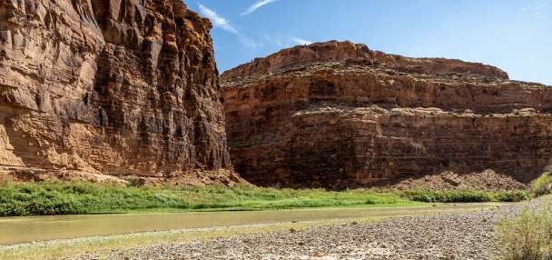 A costly invasive species appears to have made it to Utah's Colorado River segment