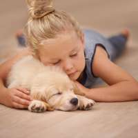 Choosing the best flooring for homes with kids and dogs