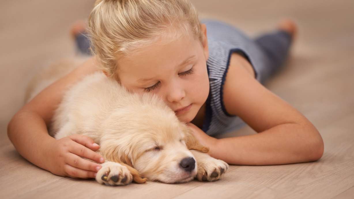 Choosing the best flooring for homes with kids and dogs
