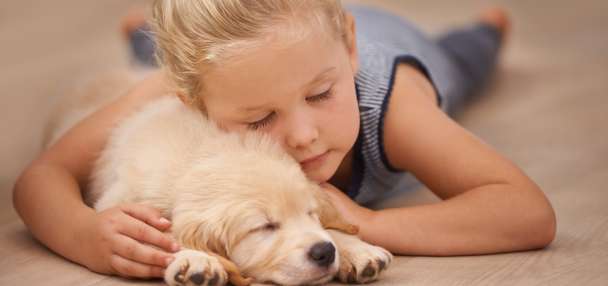 Choosing the best flooring for homes with kids and dogs