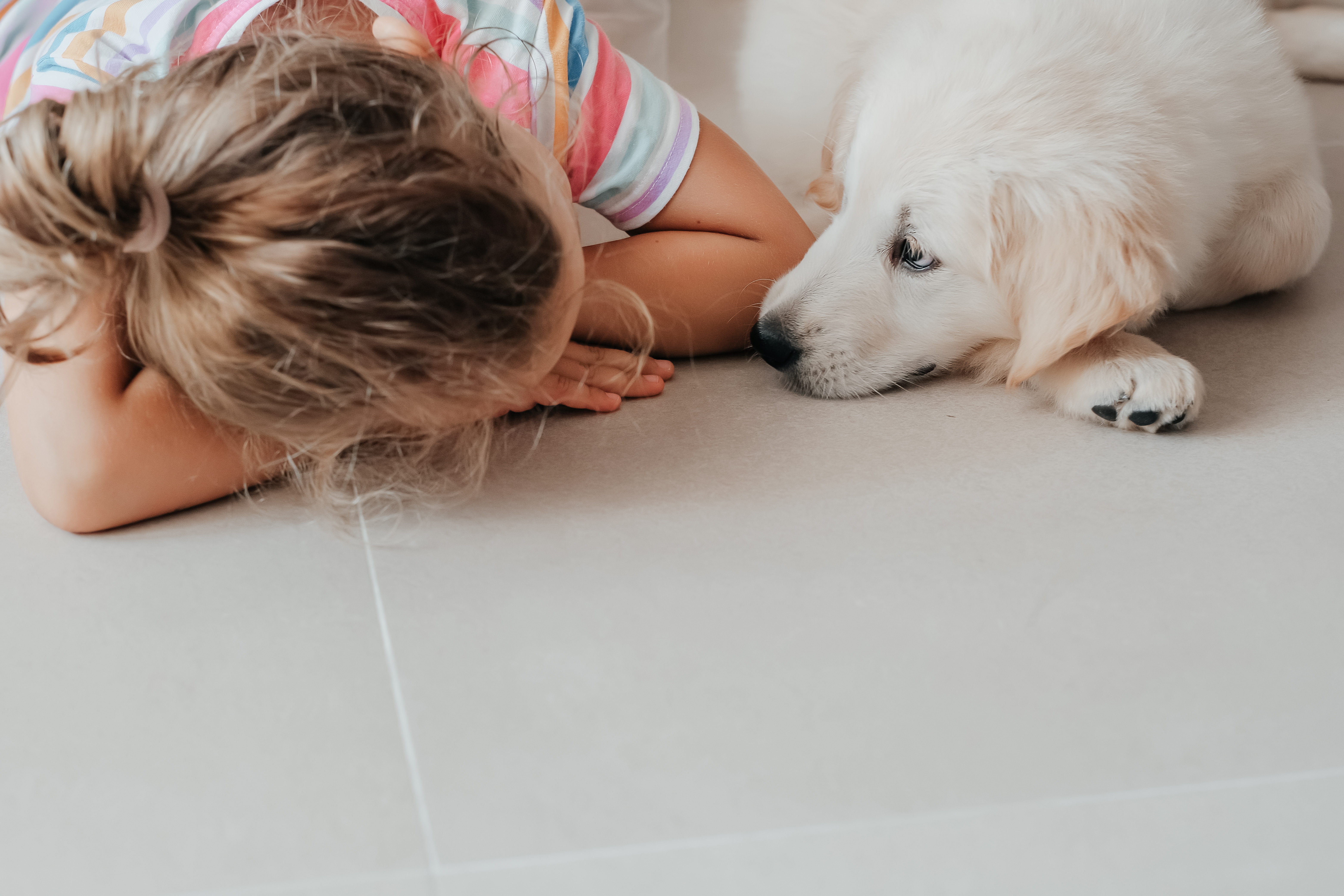 Choosing the best flooring for homes with kids and dogs