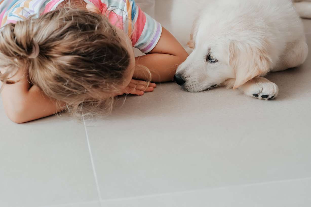 Choosing the best flooring for homes with kids and dogs