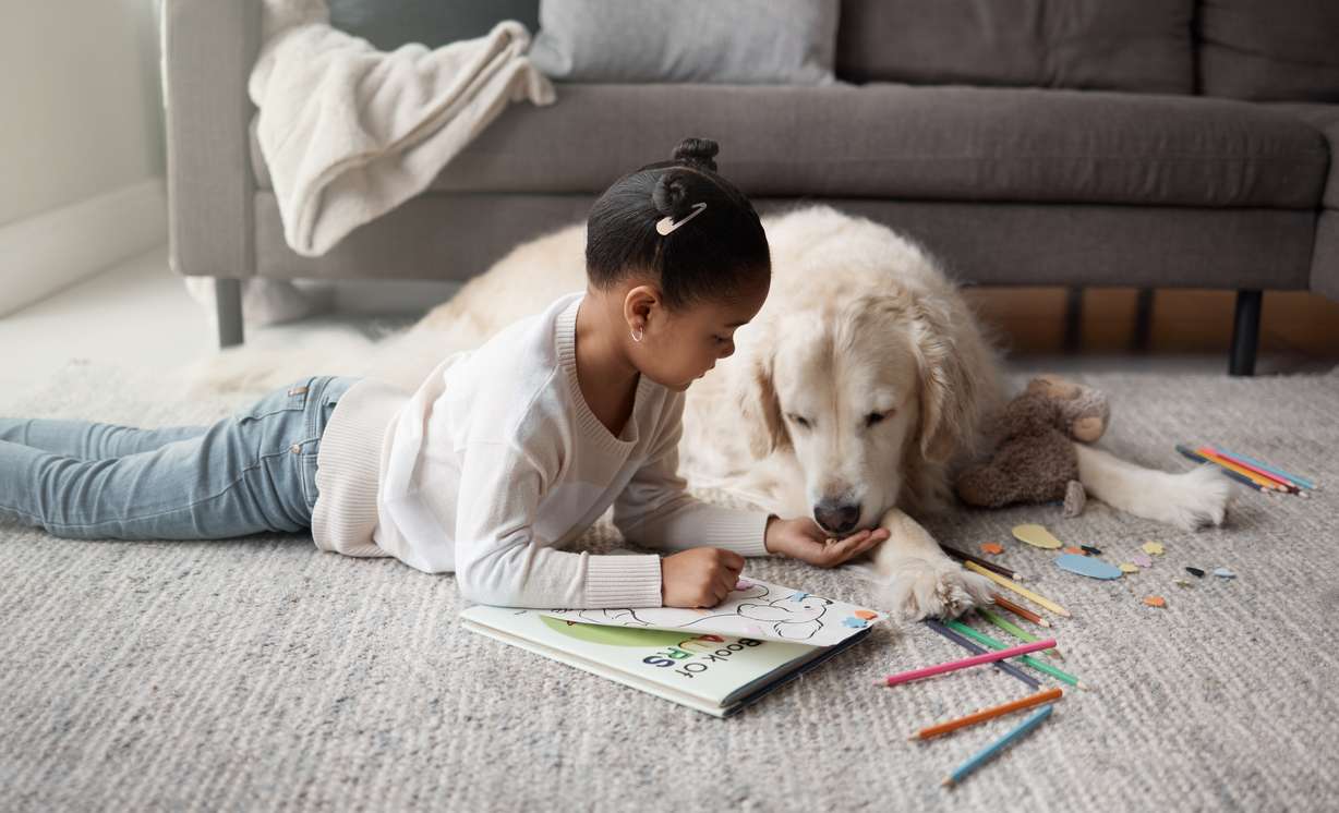 Choosing the best flooring for homes with kids and dogs