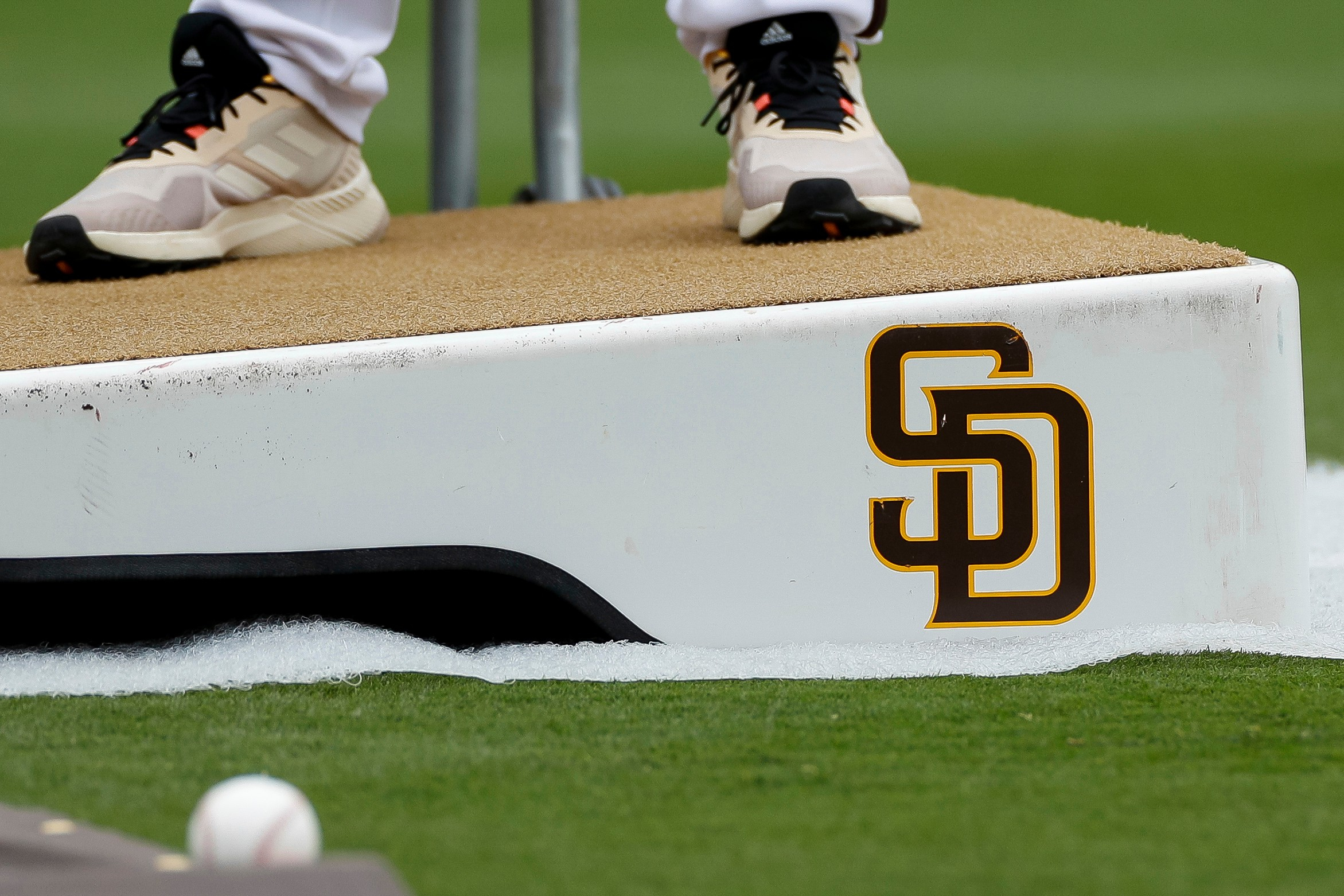 San Diego Padres minor league coach is released from ICE custody, family says