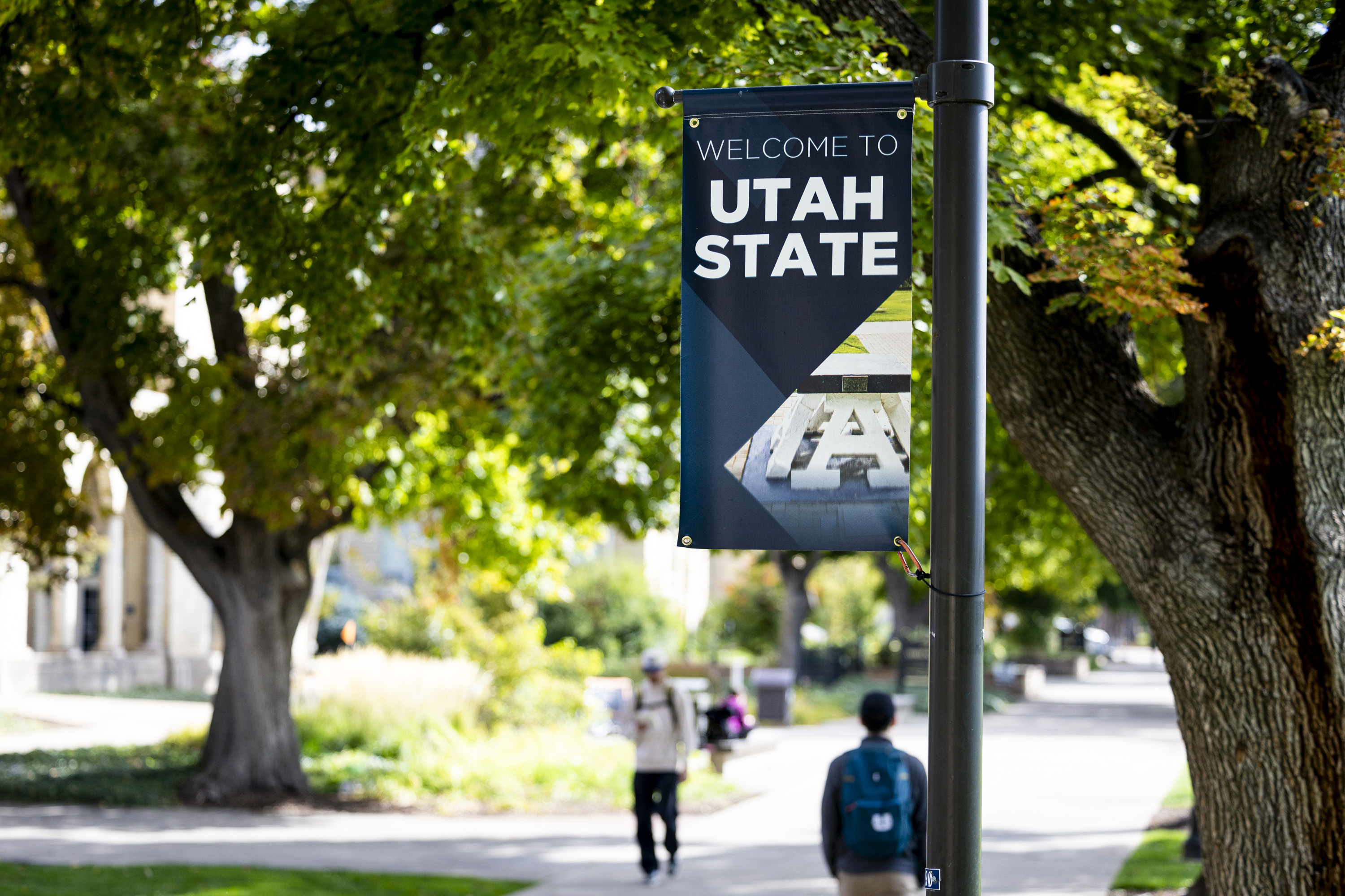 'Slow, agonizing suffocation': USU used unapproved method to euthanize 82 naked mole rats