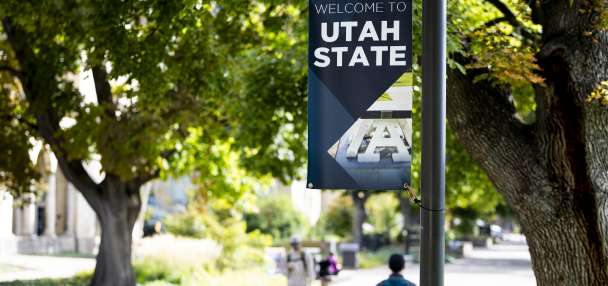 'Slow, agonizing suffocation': USU used unapproved method to euthanize 82 naked mole rats
