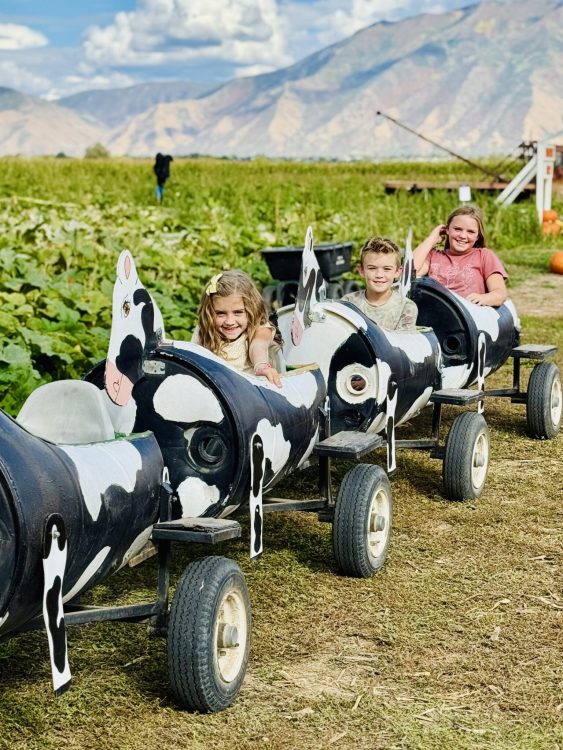 Glen Ray's Corn Maze and Pumpkin Patch 2026