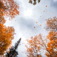 Fall is almost here. Is this when Utah's spectacular colors will return?