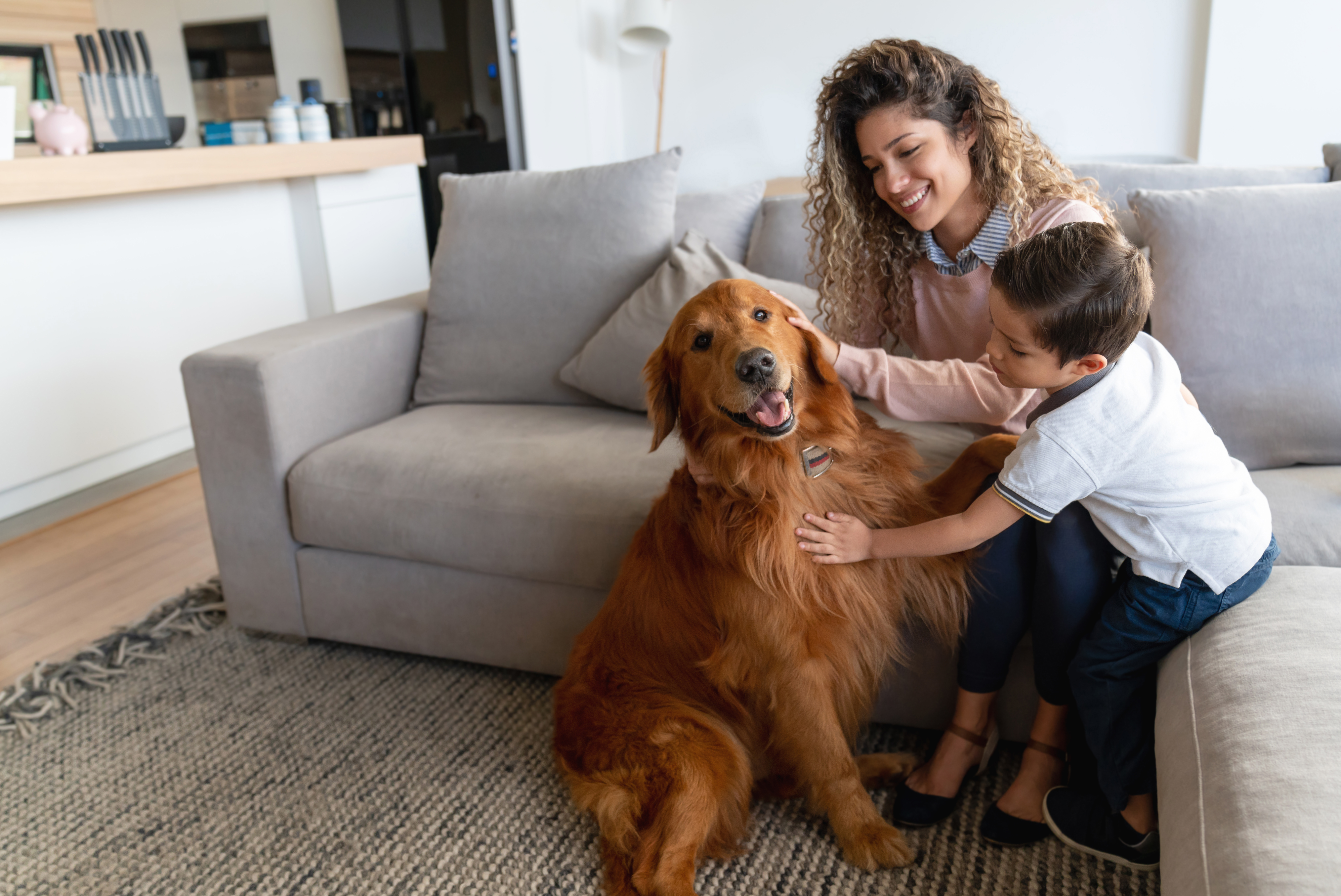 Tail Wags Rescue has been up and running for almost two months.