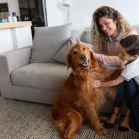 This non-profit is rescuing animals from across the country, and you can adopt them