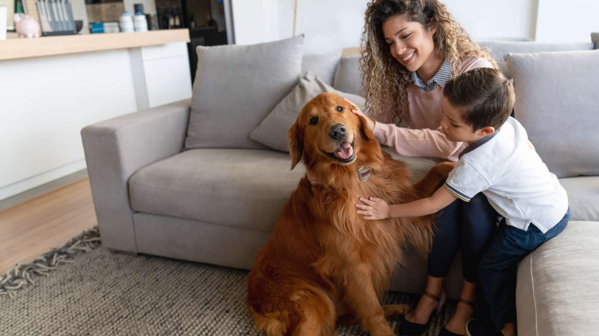 Tail Wags Rescue has been up and running for almost two months.
