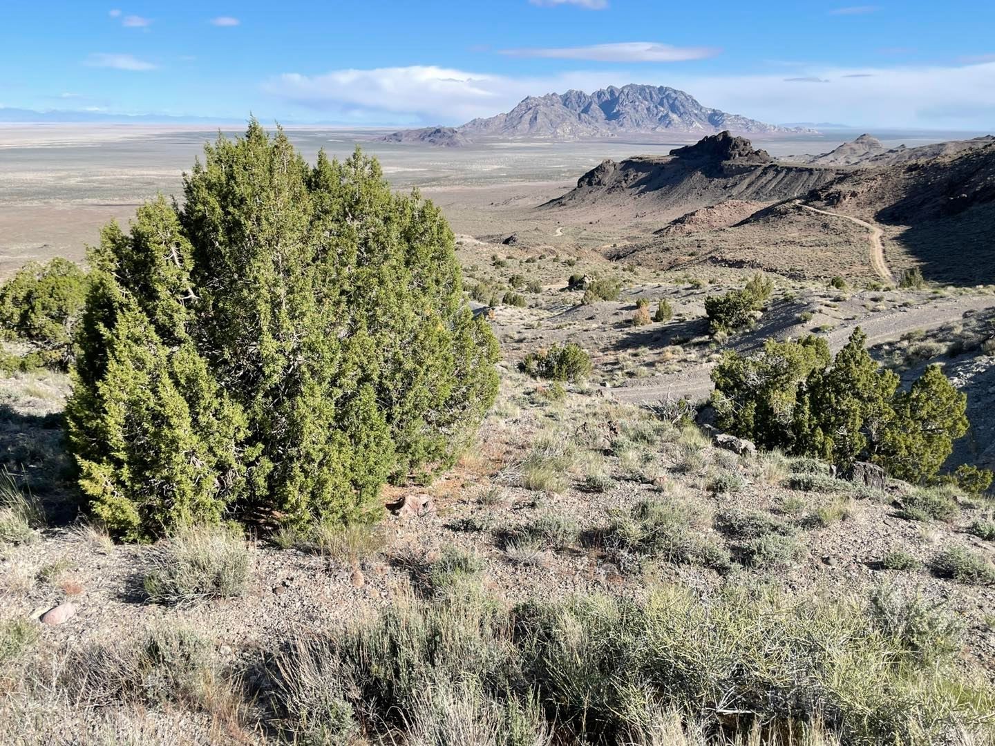 Goshute Indian tribe voices opposition to U.S. Army data center proposal in Tooele County
