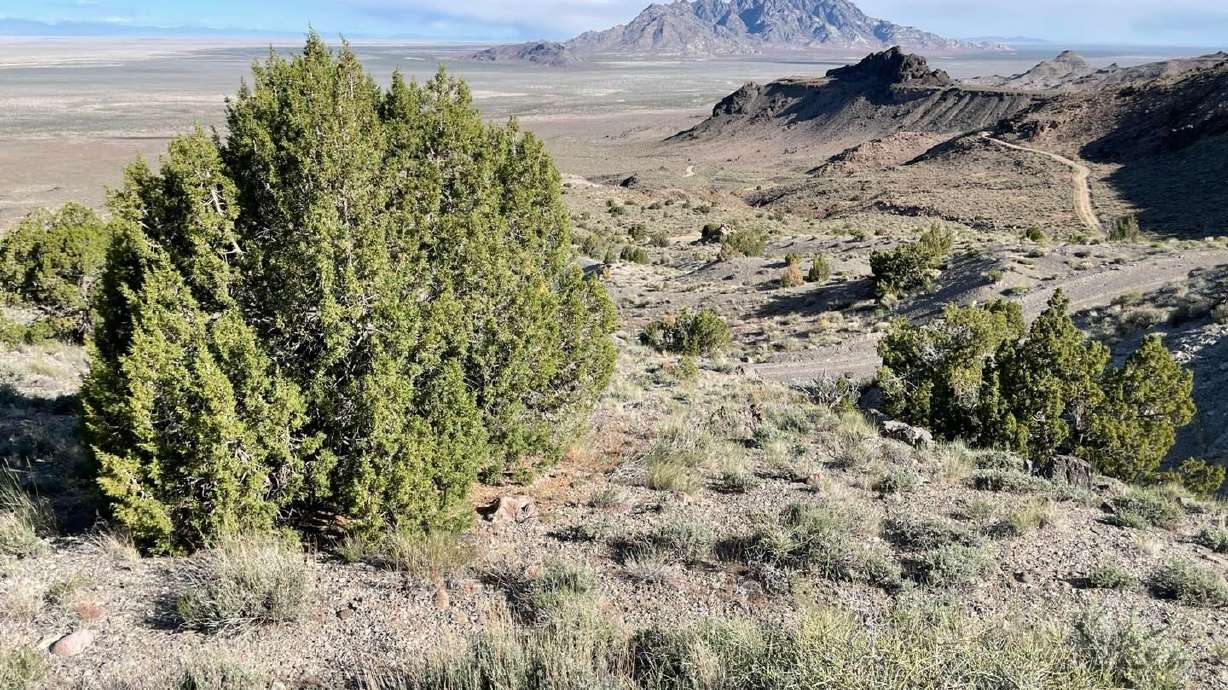 Part of the Dugway Proving Ground in Tooele County. The Goshute Indian tribe worries that a proposed data center on the grounds of the U.S. Army's Dugway Proving Ground would sap groundwater supplies.