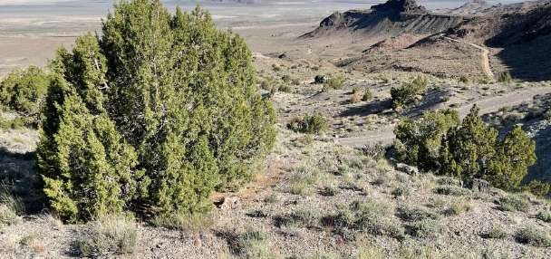 Goshute Indian tribe voices opposition to U.S. Army data center proposal in Tooele County