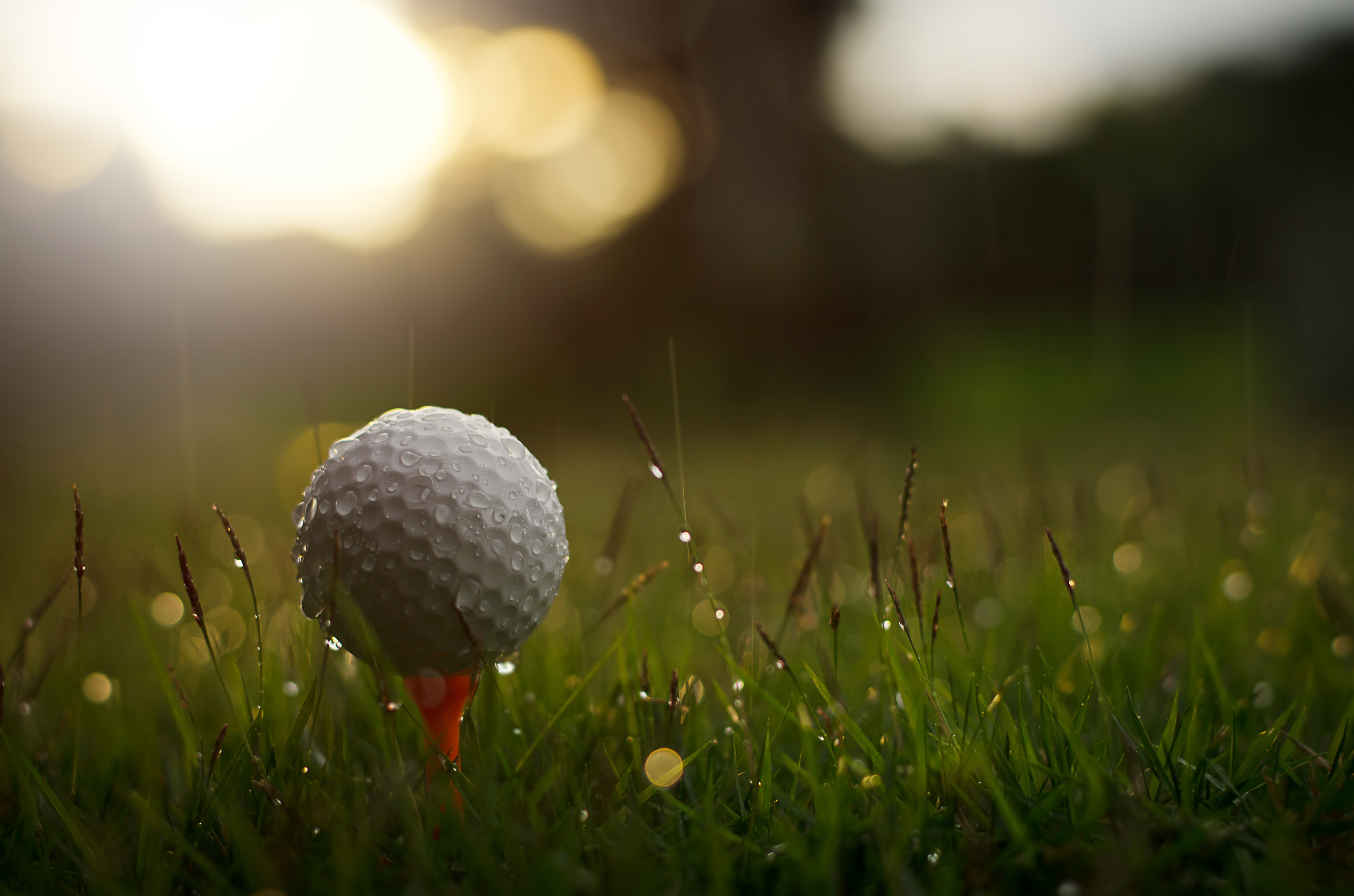 Have You Seen This? Golfer struck by lightning while recording friends in rain 