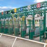 Unregulated horse racing at Ogden facility, decried by PETA, has stopped, for now