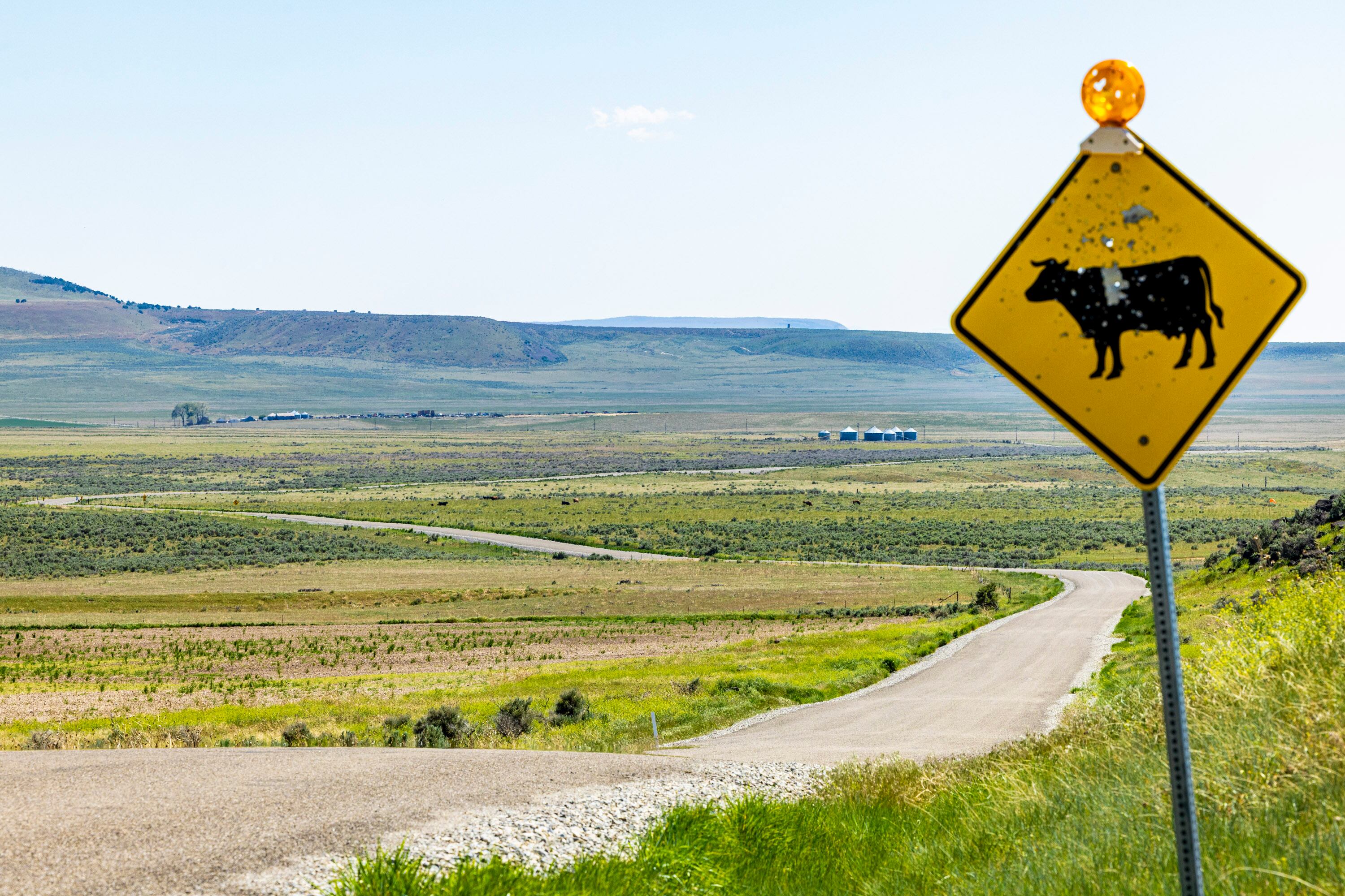 A cattle sign is posted along Hansel Valley Road, north of land proposed to be used for the Stratos Project data center in the Hansel Valley area of Box Elder County on May 12. The swath of land on the other side of the ridge pictured here is the more eastern of the two largest sections of land proposed to be used for the data center.