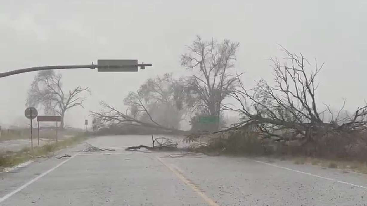 A fallen tree blocking a roadway in Lynndyl, Millard County, after an intense storm hit the area on Saturday.