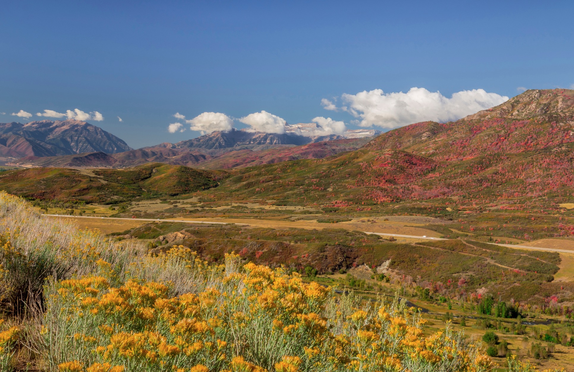 Utah state park cancels beloved apple harvest following harsh season
