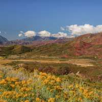 Utah state park cancels beloved apple harvest following harsh season