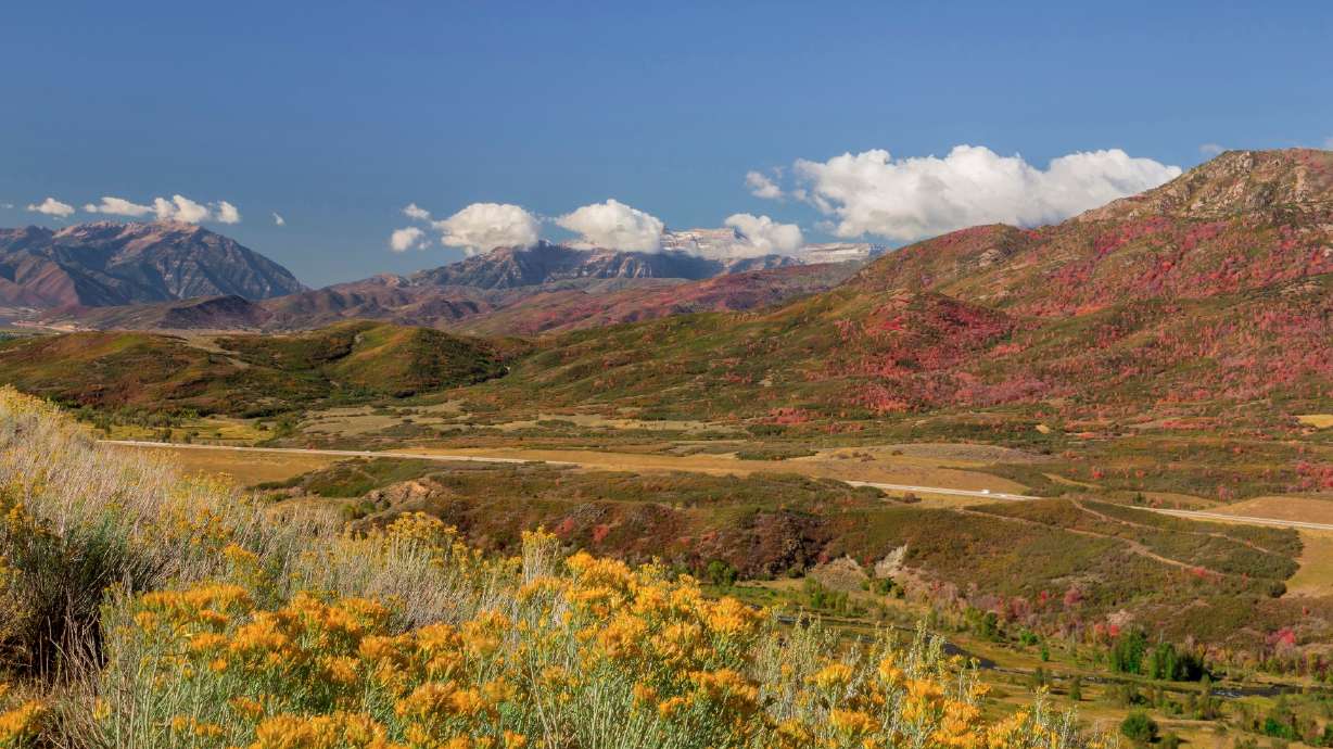 Wasatch Mountain State Park officials said Monday that it annual apple harvest will not take place this year.