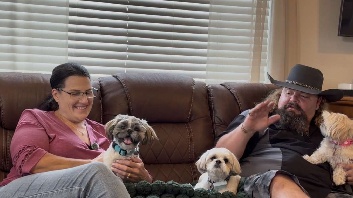 A 5-month-old shih tzu from Cedar City is home with its family after being lost for a week in the rugged, desert landscape of the Utah/Nevada border, and the owners are now calling him “Miracle Monty.”