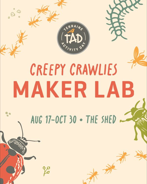 Creepy Crawlies Maker Lab