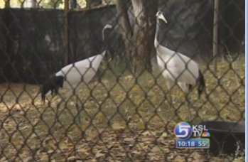 Tracy Aviary Denied Accreditation