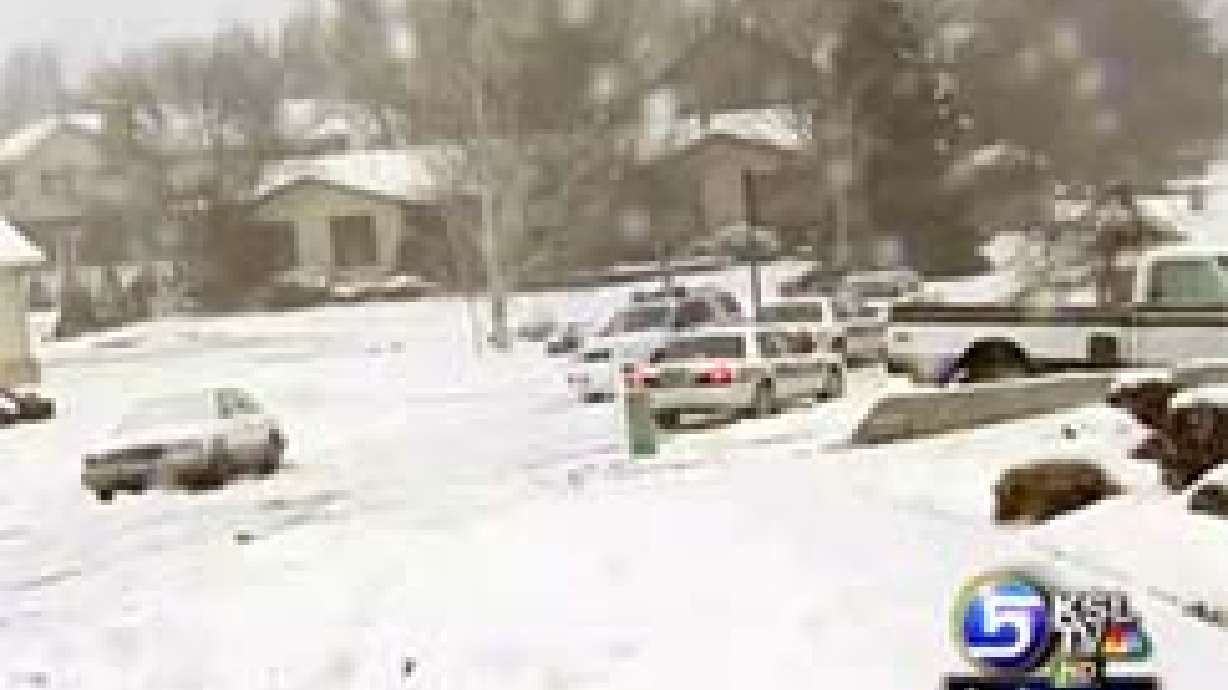 Resident alerts police to attempted car theft