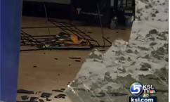 Deer reportedly jumps through pharmacy window