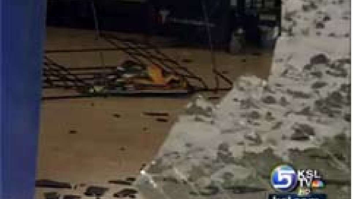 Deer reportedly jumps through pharmacy window