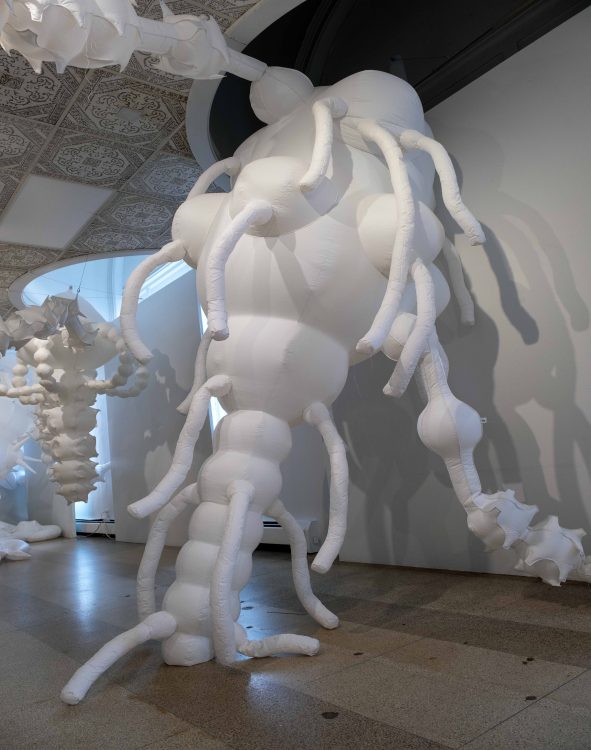 Nicole Banowetz: The Intervening Substance