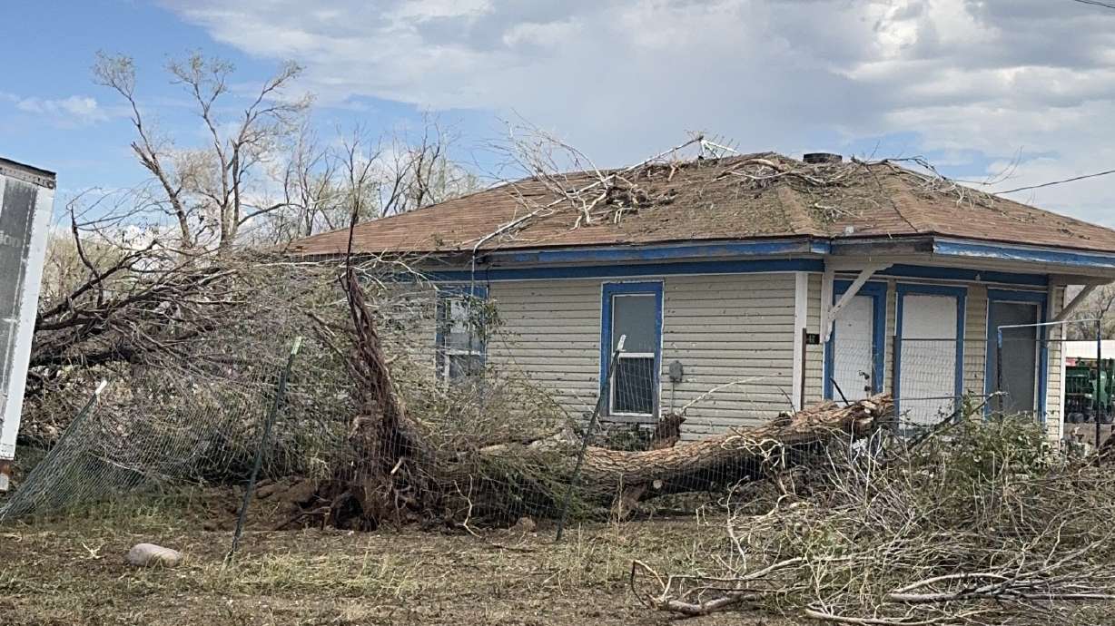 Damage from straight-line winds from a severe thunderstorm on Saturday is pictured near Lynndyl, Millard County. The storm was determined to not have spawned a tornado, the National Weather Service reported on Monday.