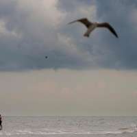 Tropical Storm Edouard makes landfall on the Gulf Coast, bringing the possibility of flooding