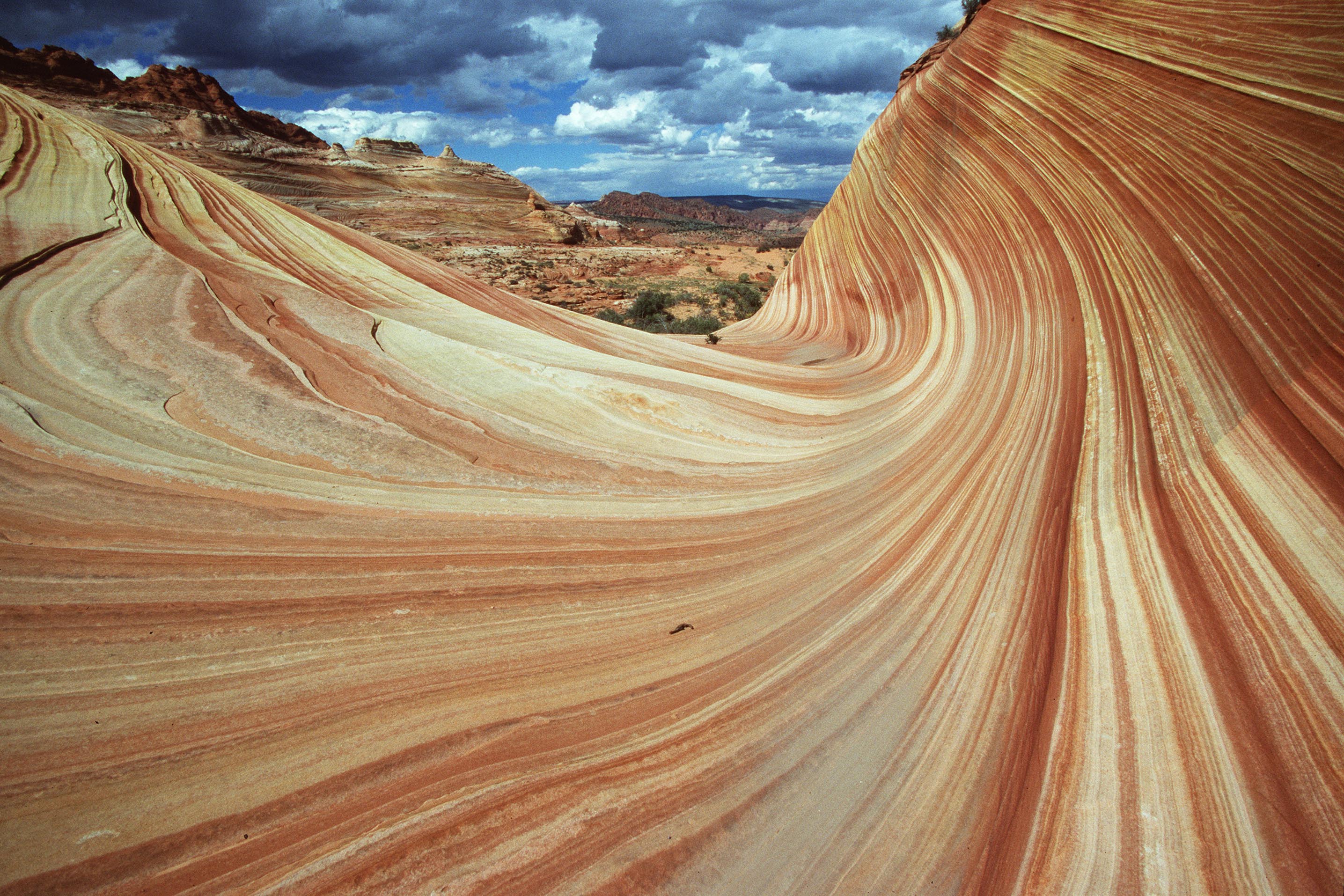 Southern Utah University interns recognized for helping rescue hiker in Arizona