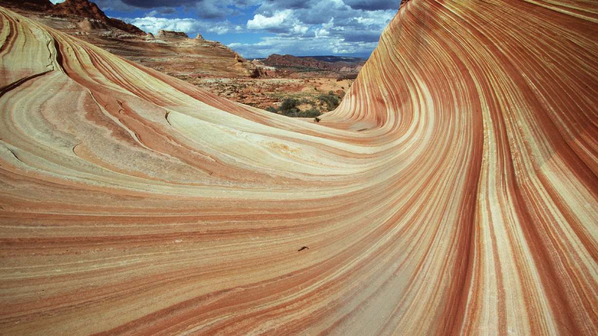 Three college students participating in Southern Utah University's Intergovernmental Internship Cooperative were recognized after encountering a 67-year-old woman suffering from heat exhaustion while hiking and administering immediate help.