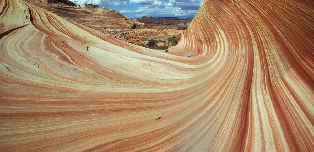 Southern Utah University interns recognized for helping rescue hiker in Arizona
