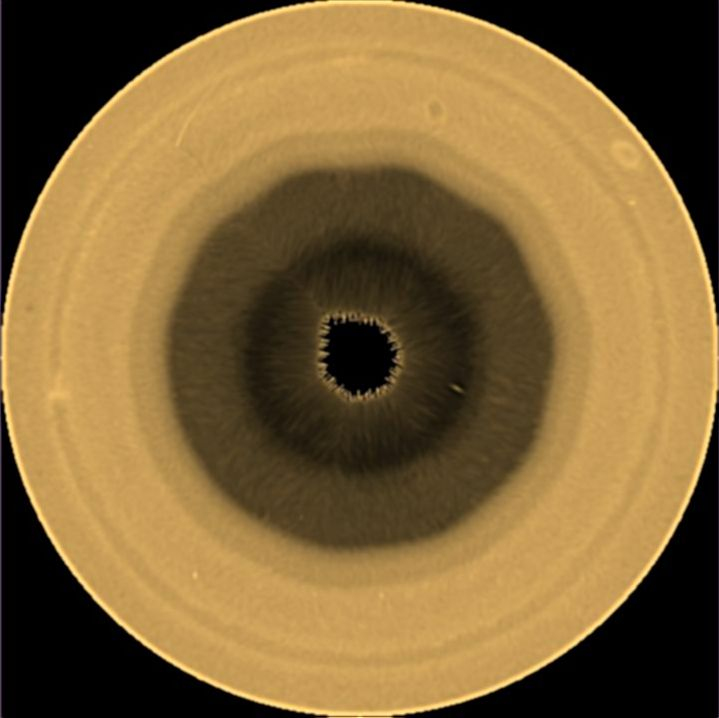This photo provided by NASA/ESA/A. Sánchez-Lavega (Basque Country University) shows a pattern of clouds around the Saturn's south pole on Saturday, Aug. 29, 2026. 