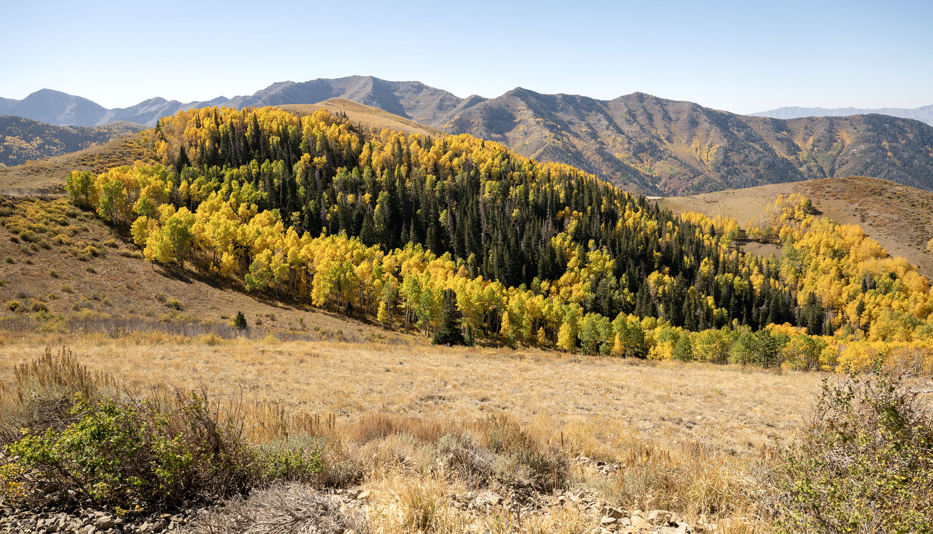 Some e-bike models banned from trail use in Butterfield, Yellow Fork canyons