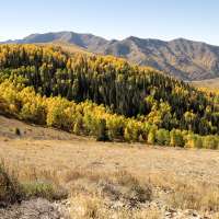 Some e-bike models banned from trail use in Butterfield, Yellow Fork canyons