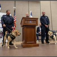 'Remarkable' noses — new dogs in Utah corrections program can search for electronics