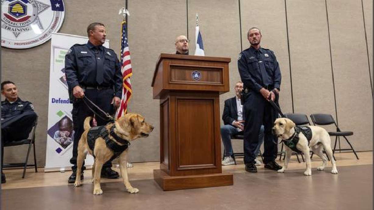 The Utah Department of Corrections and Adult Probation and Parole on Wednesday publicly introduced the latest additions to its staff: dogs named Glitch and Cypher. Both dogs are electronic storage detection K-9s.