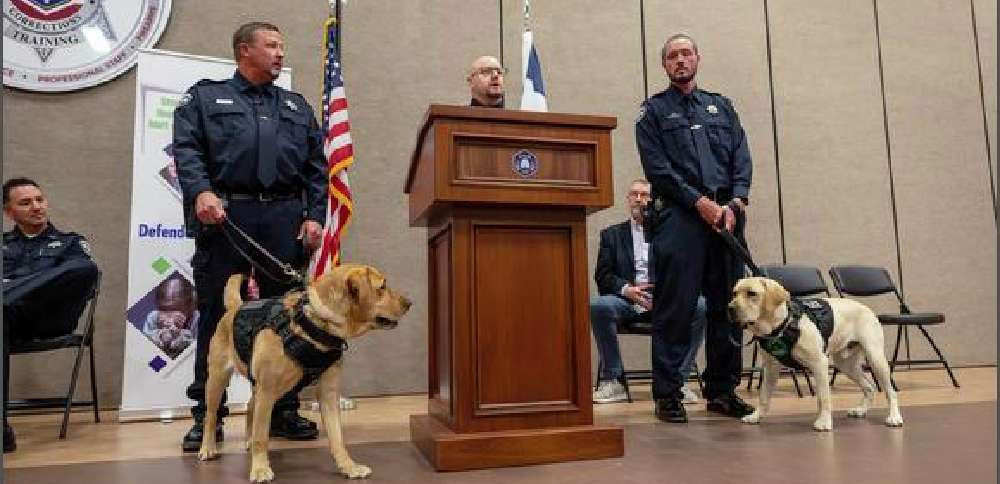 'Remarkable' noses — new dogs in Utah corrections program can search for electronics