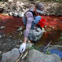 Utah project to address native fish in Mill Creek sparks online controversy