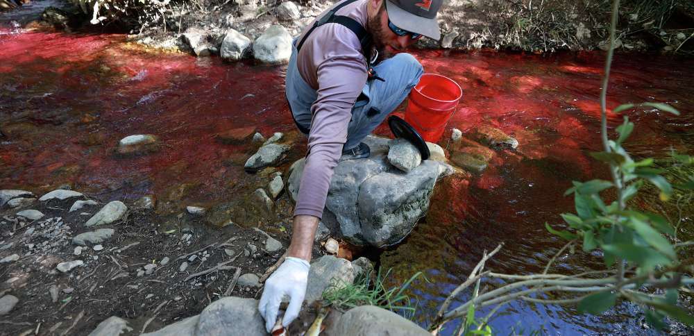 Utah project to address native fish in Mill Creek sparks online controversy