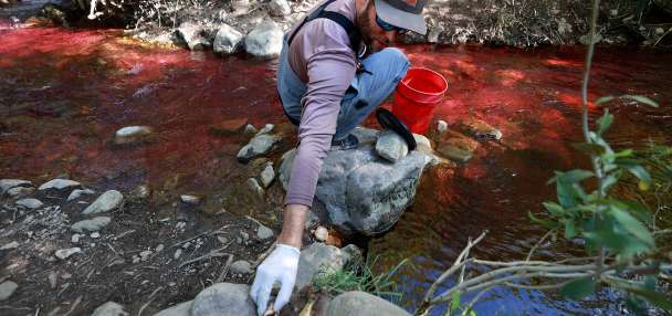 Utah project to address native fish in Mill Creek sparks online controversy