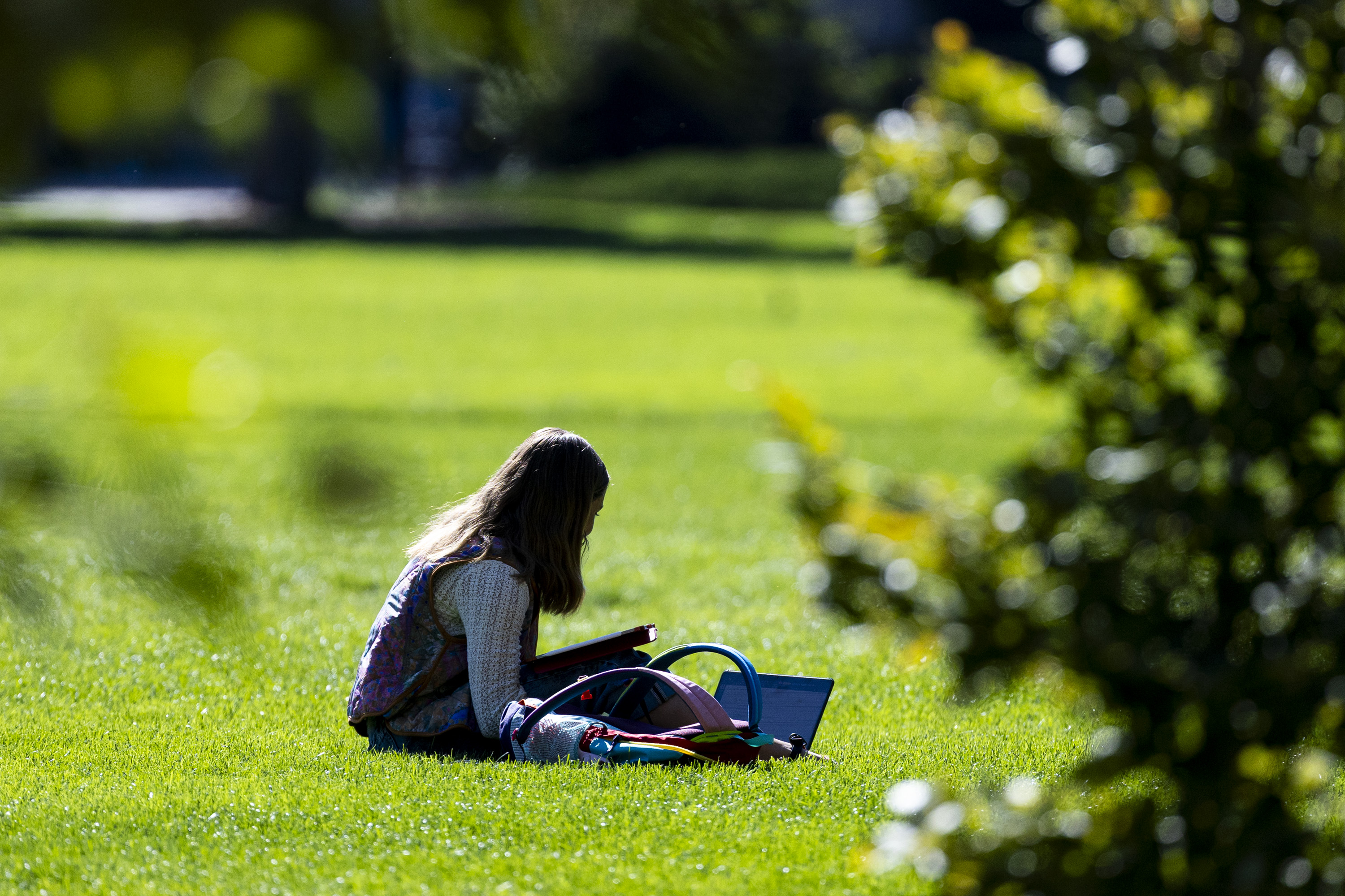 Report: Despite progress, 'urgency' still needed to address gender gaps in education