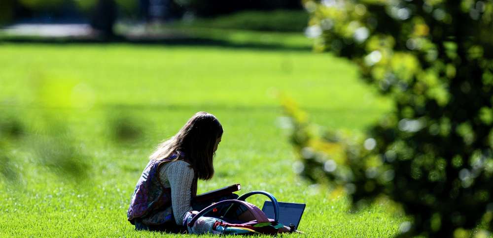 Report: Despite progress, 'urgency' still needed to address gender gaps in education