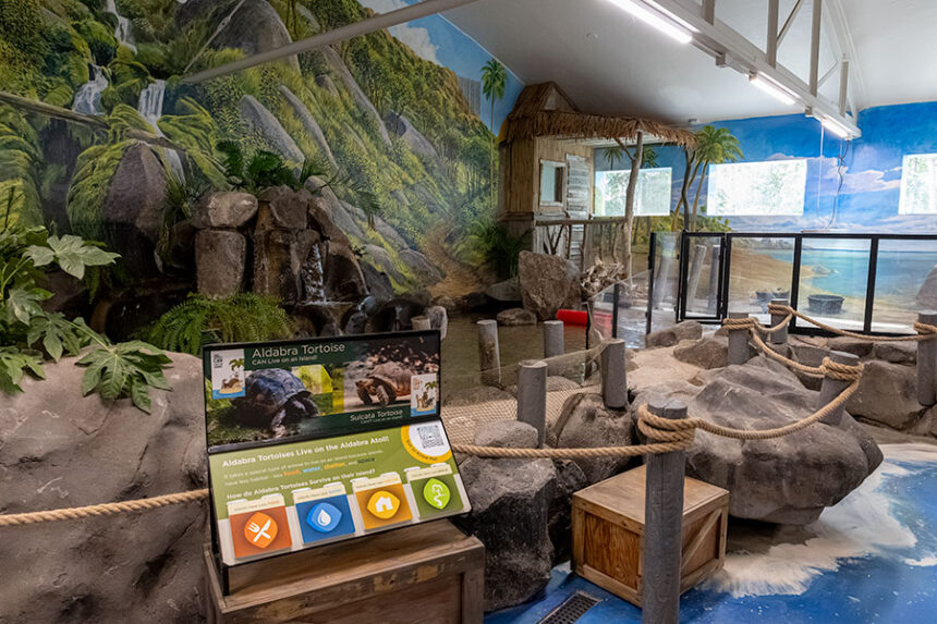 The Idaho Falls Zoo’s newest expansion, the Islands, helps to teach visitors how certain animals can live on islands, while other can’t.