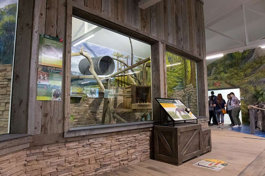 The Islands Exhibit at the Idaho Falls Zoo features new interactive and educational components to help visitors learn about conservation and the difficulties these animals face in the world.